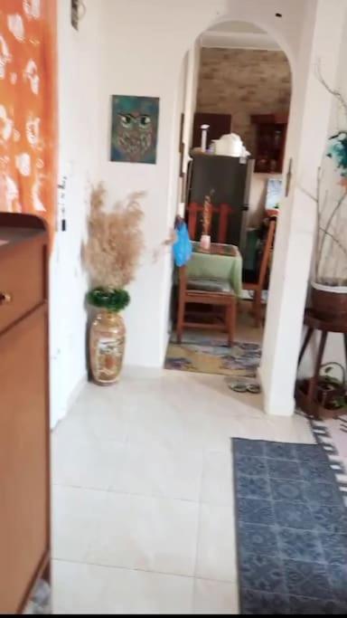 Apartment Sporting Palace Alexandria
